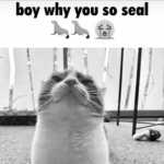):ᗫᒷᒷ:)