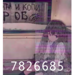I m m o r t a l ~