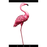 Cleetus and flamingo fan club