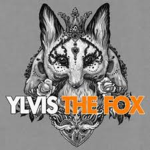 狐狸THEFOX