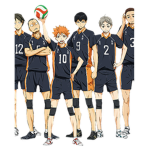 Shameless volleyball