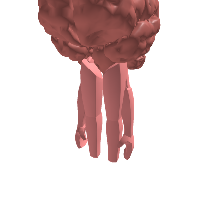 brain (dimension 12)