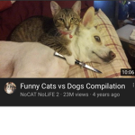 Le epic gang