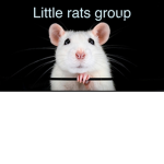 Little Rats Group