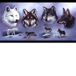 Wolves' Pack.