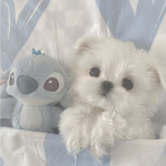 4~*!cute!*~4