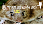 ~Rat Kingdom~