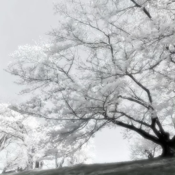 ⸙