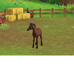 Unicornrain2248