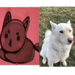 Doge or cat