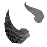 Black and White Shimmering Horns