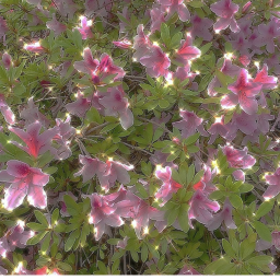 Blooming Homestore