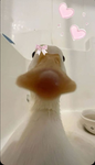 Littleprincessemilygames