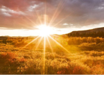 I love sunshine