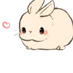 Cotton bunnys 🌸
