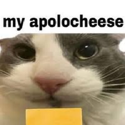 Citadel of My Apolocheese