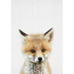 TheFireFox