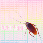 Roaches-United