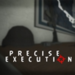 Precise Execution