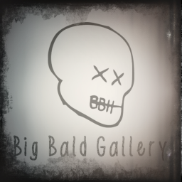 Big Bald Gallery