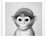 Monke Friends