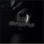ヤ KOL