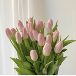 heartquets