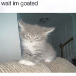 Snas Gaming