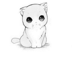 CUTIECAT