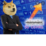 THE doges and Cats