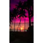 The_ #############