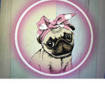 Pug party!