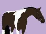 ~ Heather ~ Ridge ~ Stables! ~