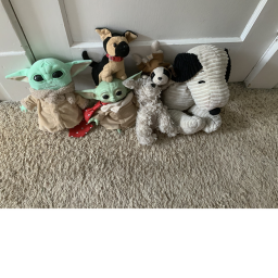 Critter club world