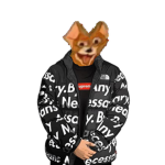DNC l0s3r