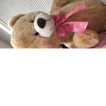 The teddy bears Yas queen