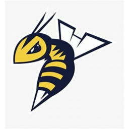 Home of the OM stingers