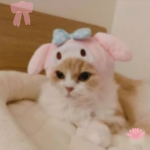 CandyCrushRolls~