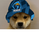 The doges are in the house and Fortnite