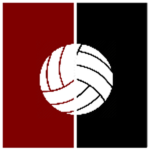 Organised Volleyball Leauge