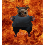 v e r v a i n