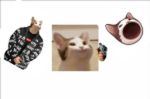 Sussy popcats group