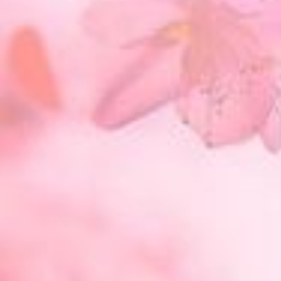 ❀