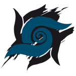 PROJECT: Team