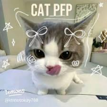 MeowCat Studios
