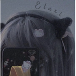 Elaxi