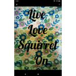 Sassy squirrels