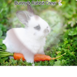 Bunny+ rabbit crew