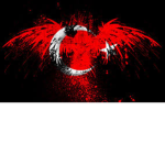 ROBUX UZLAR İÇİN GRUP