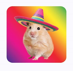 SOMBRERO RATS HANG OUT